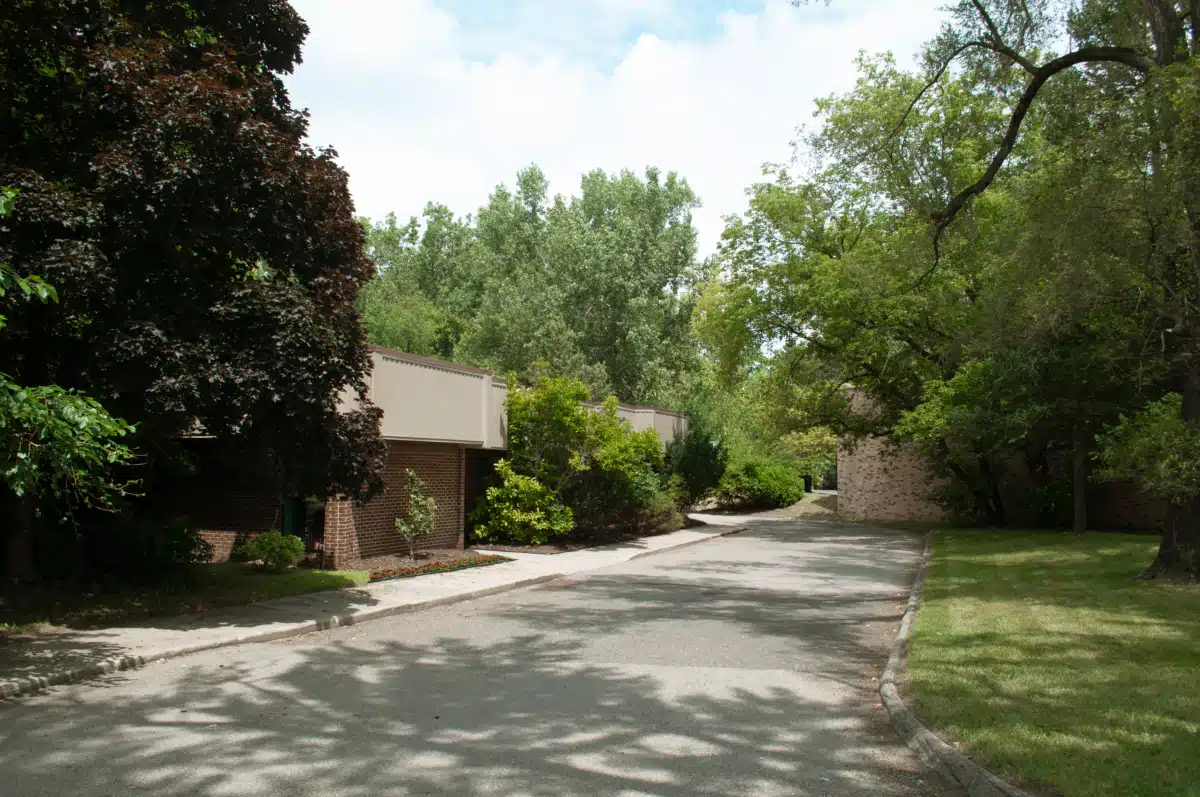 Arbor Medical - Preview