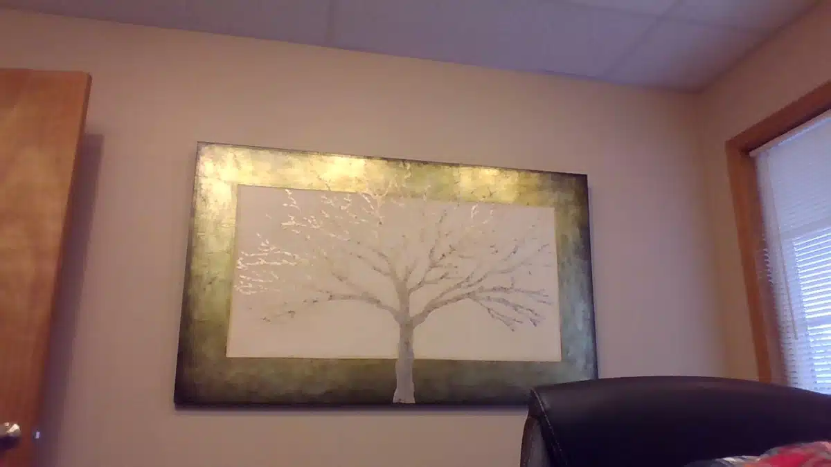 Freedom Recovery LLC - Preview