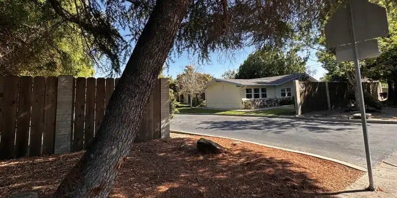 New Hope Recovery - Preview