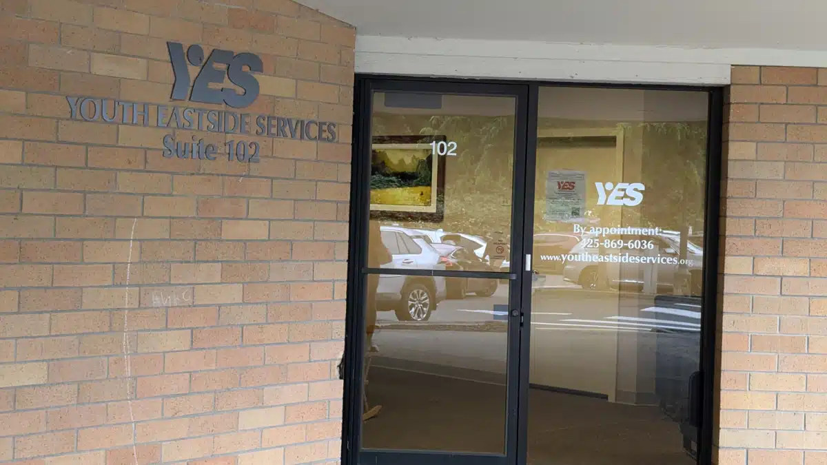 Youth Eastside Services (YES)